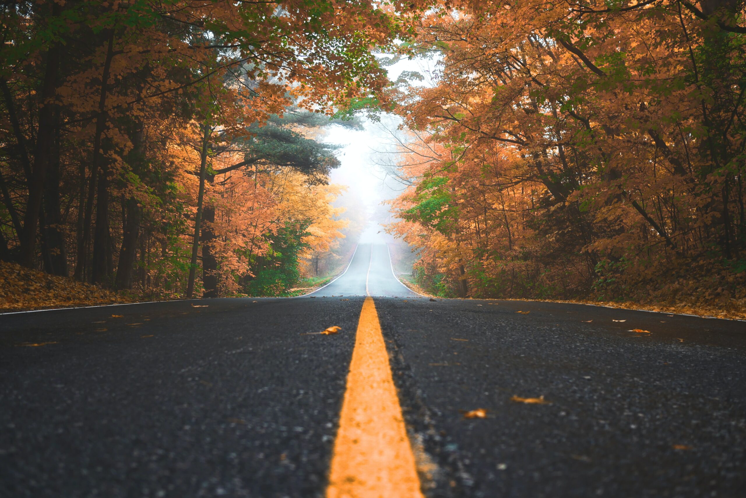 What Can Contract Management Software do for You?